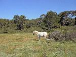 Photo DSC01957.JPG